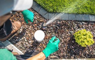 are you over watering your lawn