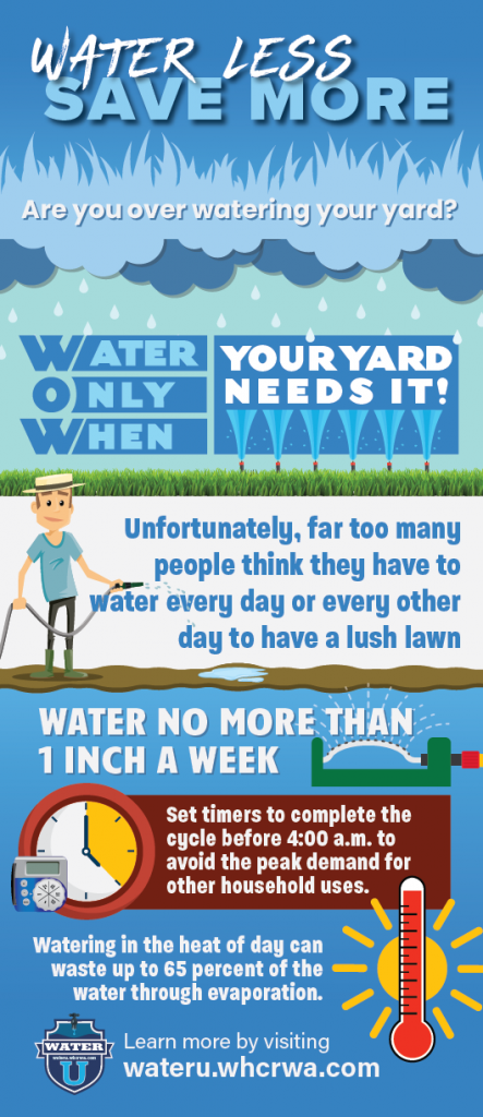 Water only when your yard needs it