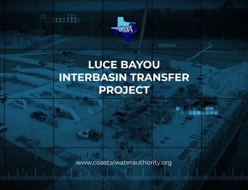 CWA releases new video commemorating the Luce Bayou Project